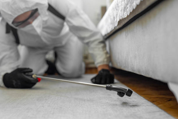 Professional Bed Bug Control technician working in Stephenson County County, IL